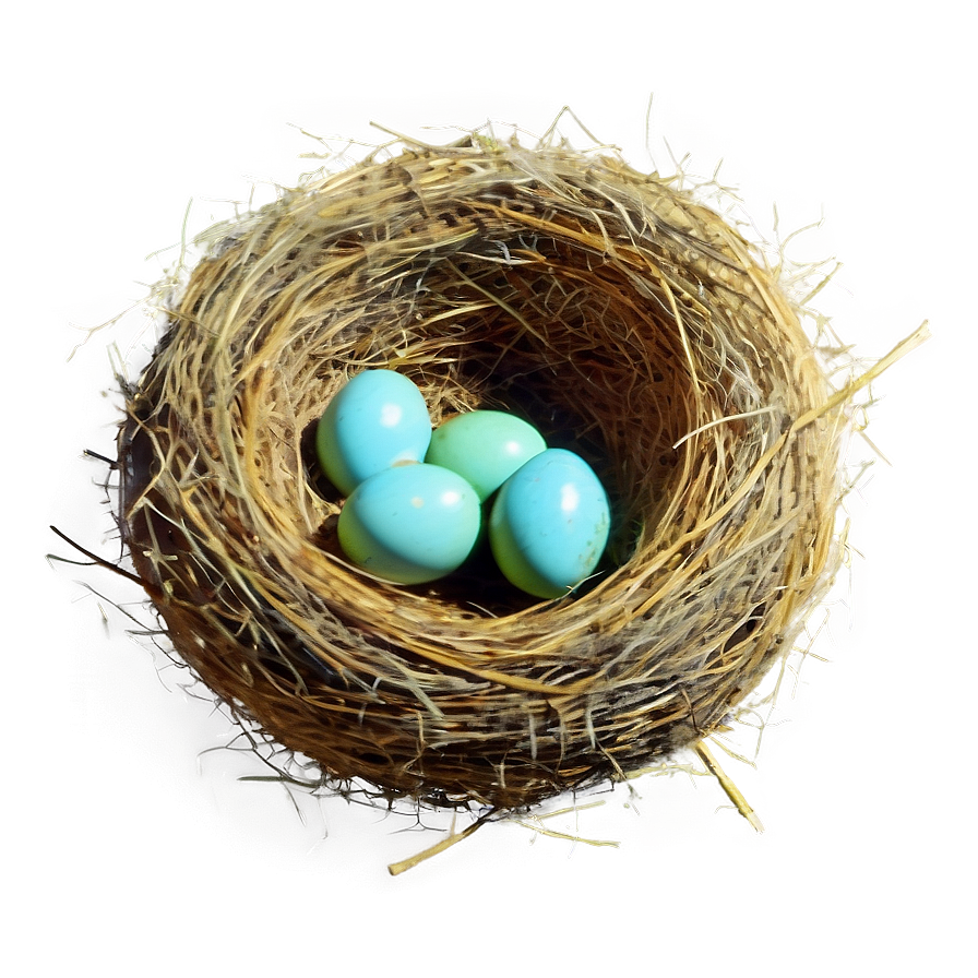 Vintage Nest Illustration Png Tyi35 PNG Image