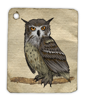 Vintage Owl Illustration PNG Image