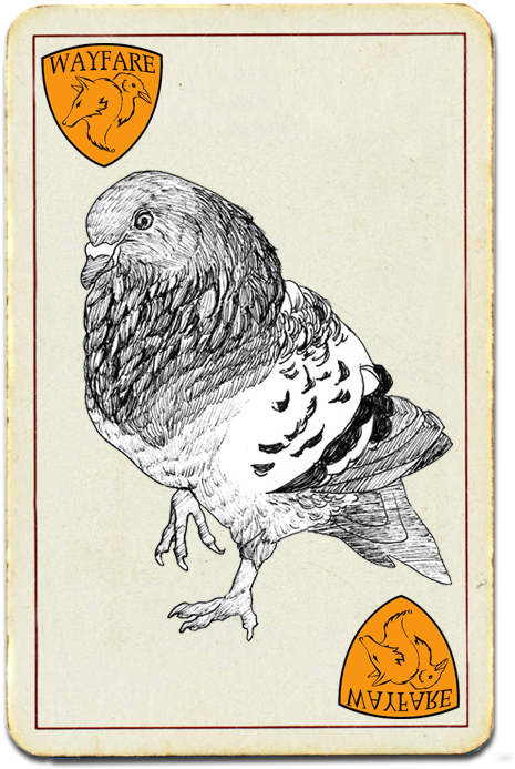 Vintage Pigeon Illustration Card PNG Image