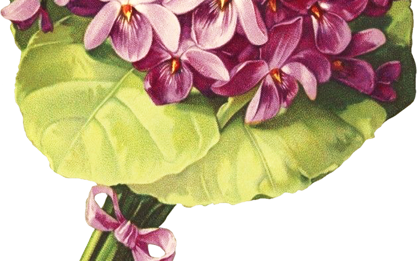 Vintage Purple Orchids Bouquet PNG Image