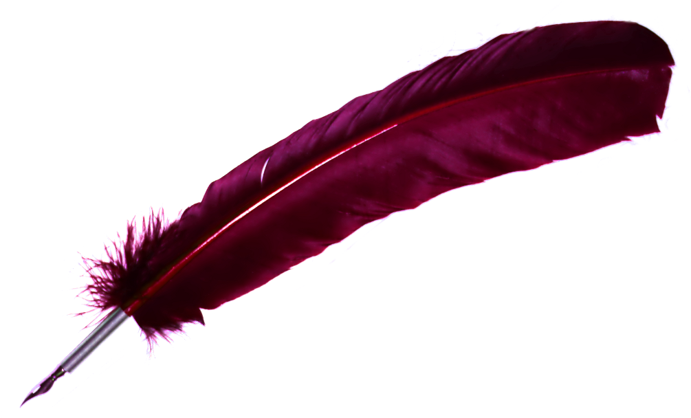 Vintage Red Feather Pen.png PNG Image