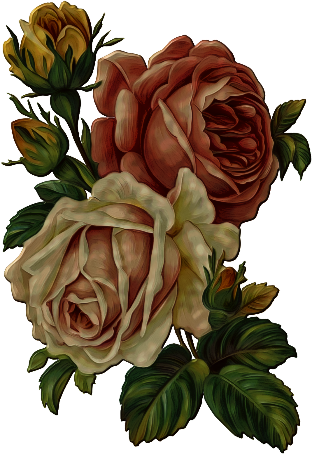 Vintage Rose Bouquet Illustration PNG Image