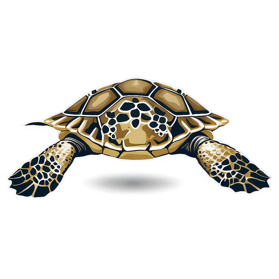 Vintage Sea Turtle Illustration Png 86 PNG Image