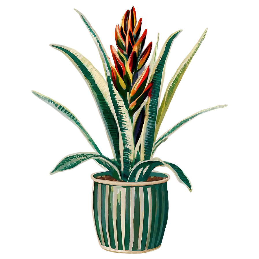 Vintage Snake Plant Png 59 PNG Image