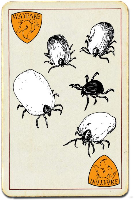 Vintage Tick Illustration Card PNG Image