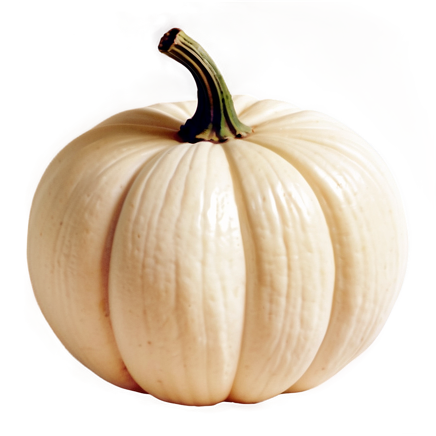 Vintage White Pumpkin Png Dxy58 PNG Image