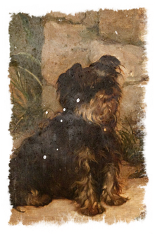 Vintage Yorkshire Terrier Painting PNG Image