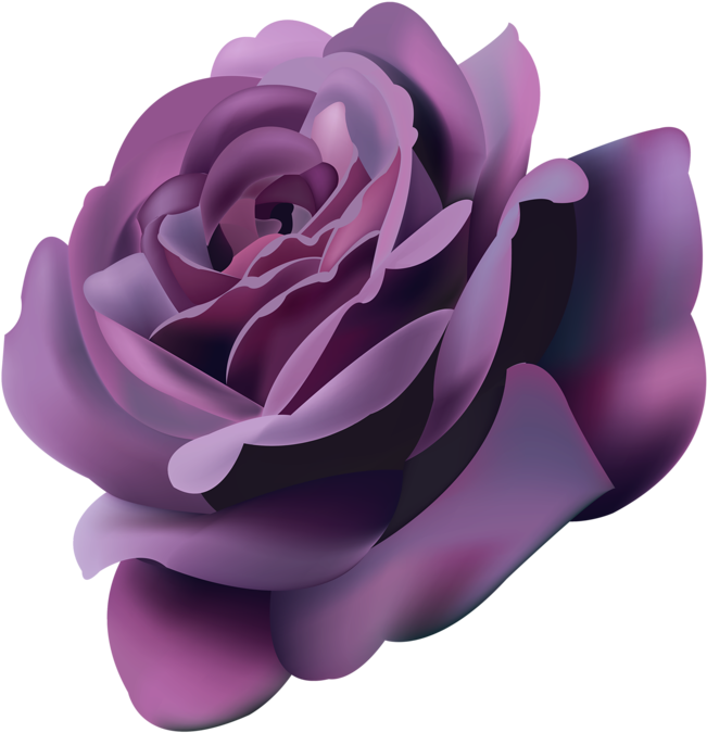 Violet Rose Close Up PNG Image