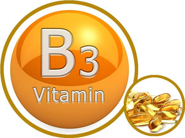 Vitamin B3 Supplement Graphic PNG Image