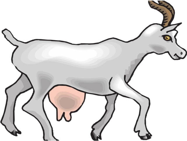 Walking Goat Illustration.png PNG Image