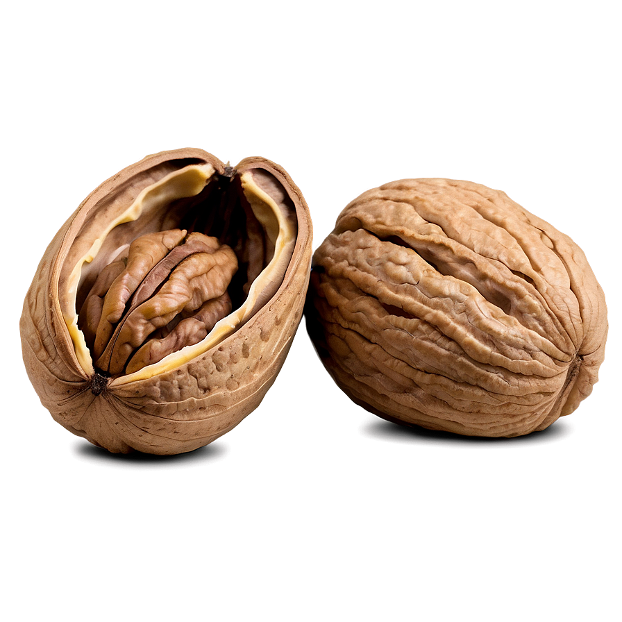 Walnut D PNG Image