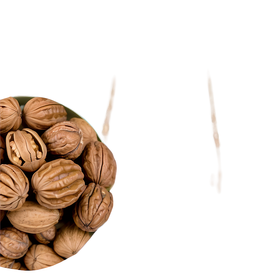 Walnut Gift Png 06122024 PNG Image