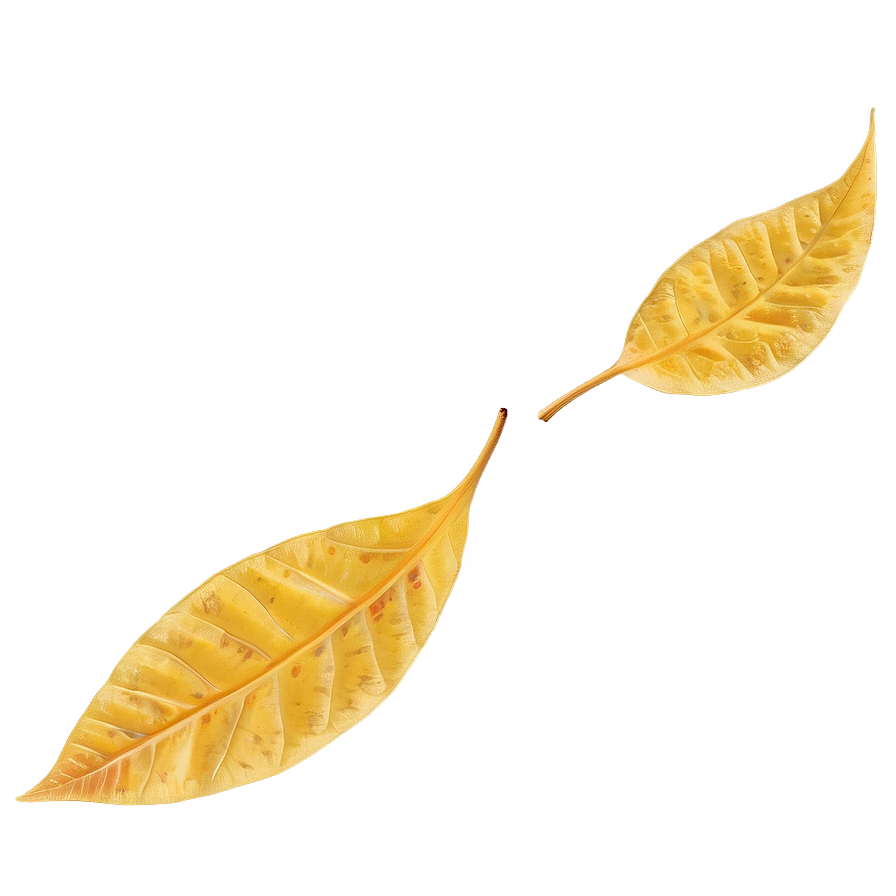 Warm Yellow Autumn Leaves Png Gpg3 PNG Image