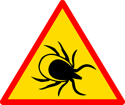 Warning Sign Black Spider Yellow Background PNG Image