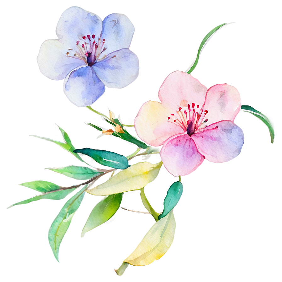 Watercolor Blossoms Clipart Png 60 PNG Image