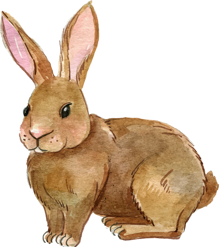 Watercolor Brown Rabbit Illustration PNG Image