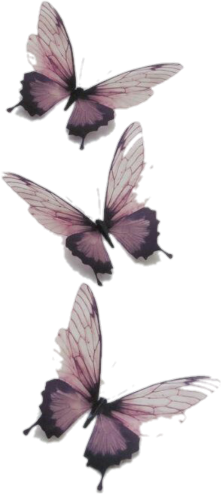 Watercolor Butterflies Artwork PNG Image