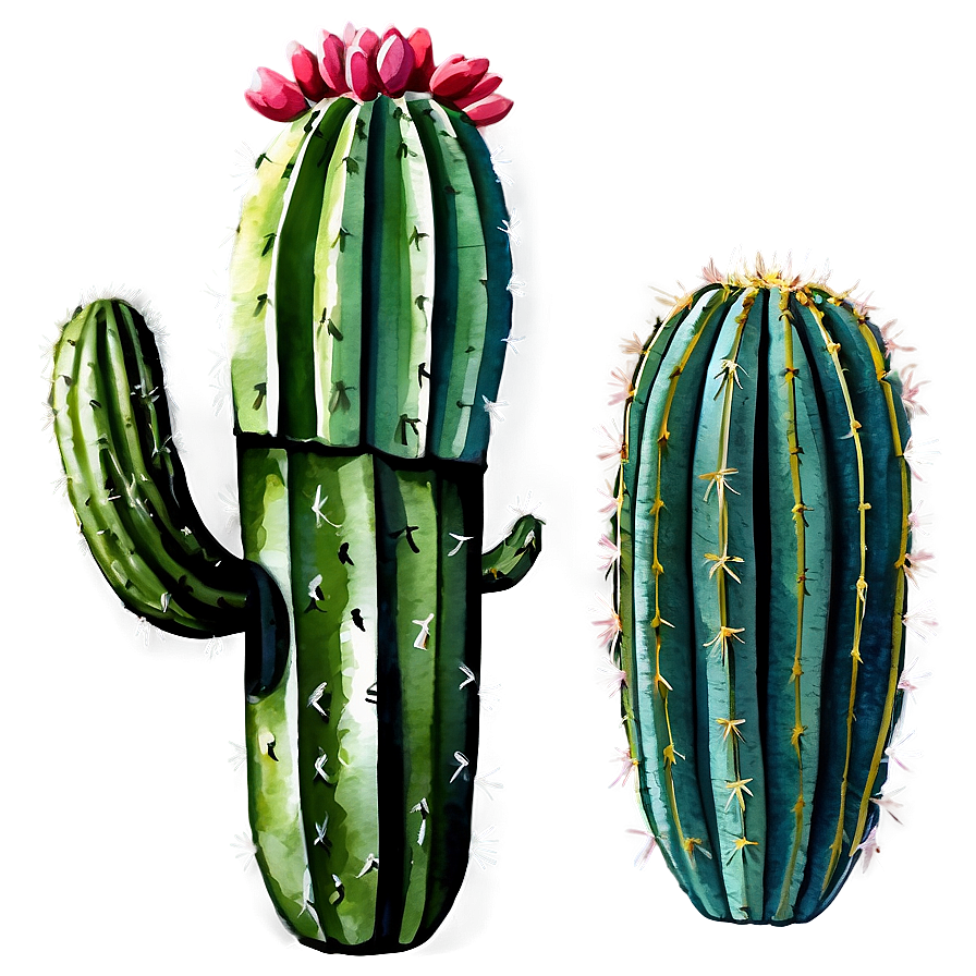 Watercolor Cactus Art Png 06282024 PNG Image