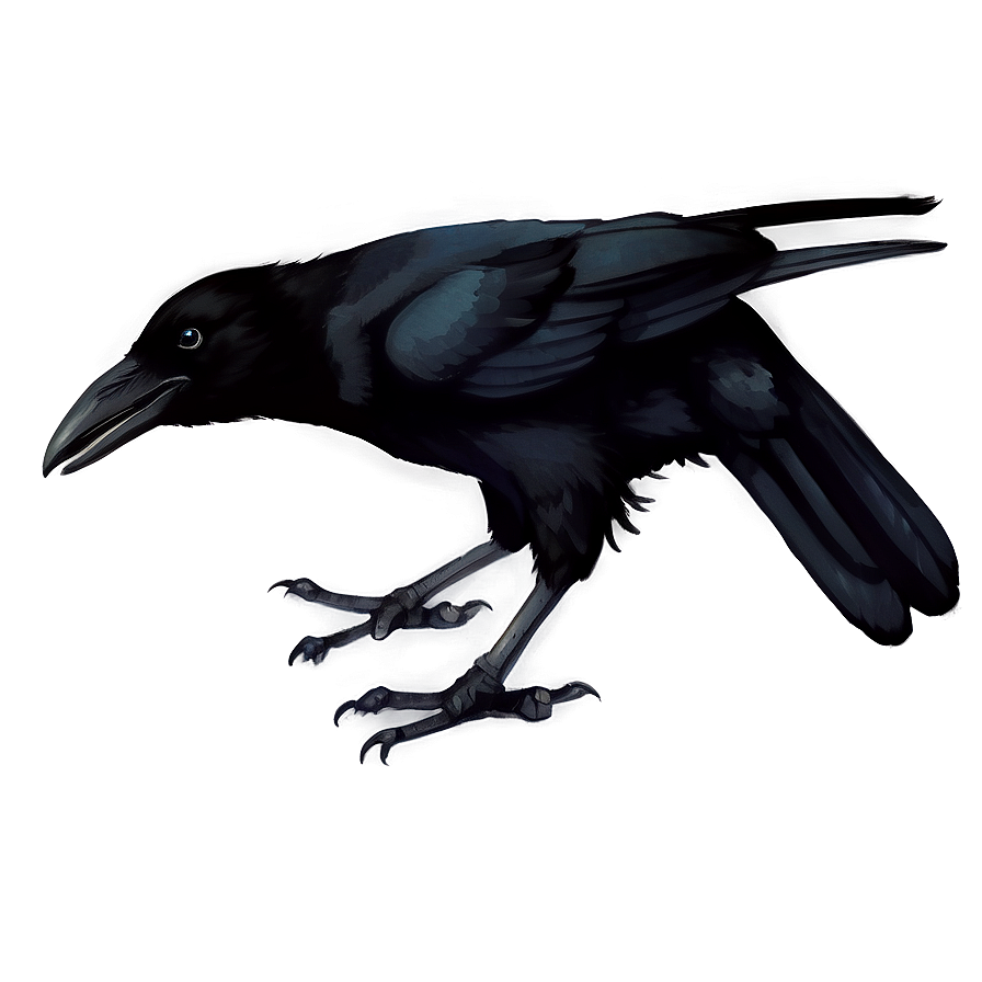 Watercolor Crow Png Xnw40 PNG Image