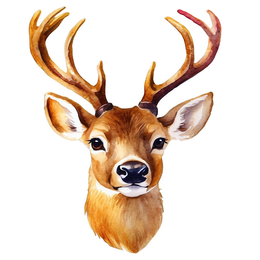 Watercolor Deer Head Painting Png Tbd7 PNG Image