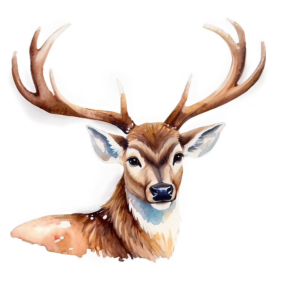 Watercolor Deer Painting Png Apj34 PNG Image