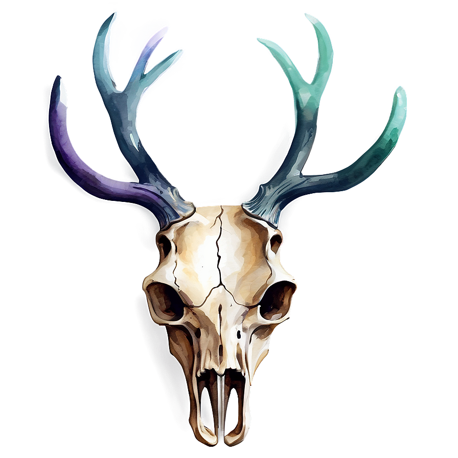 Watercolor Deer Skull Png Kjh74 PNG Image