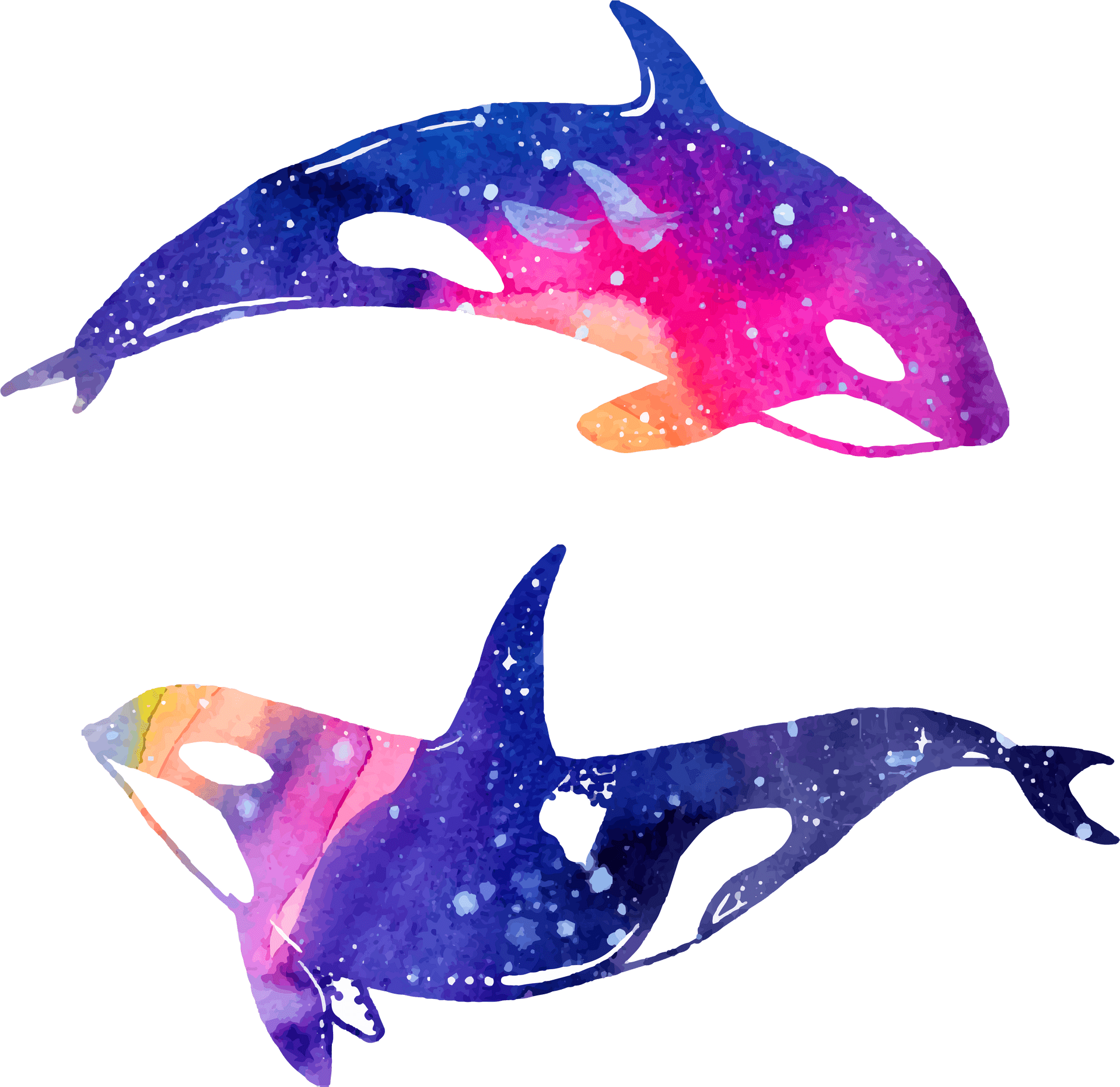 Watercolor Dolphins Artwork PNG Image