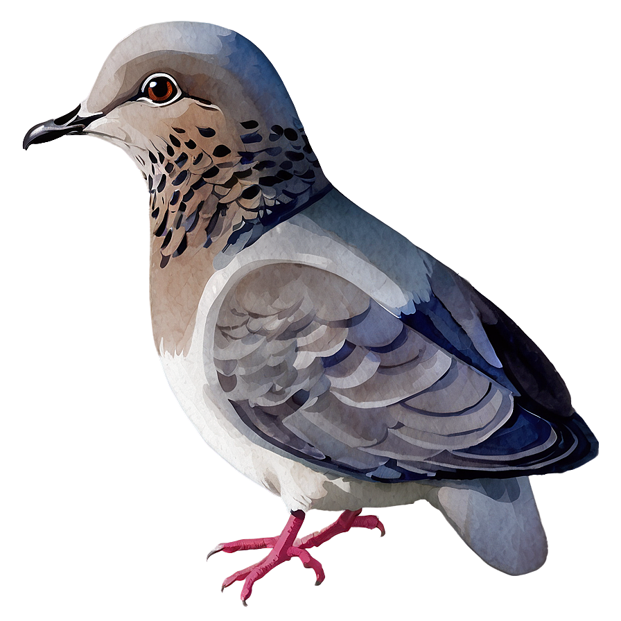 Watercolor Dove Png Cpi64 PNG Image