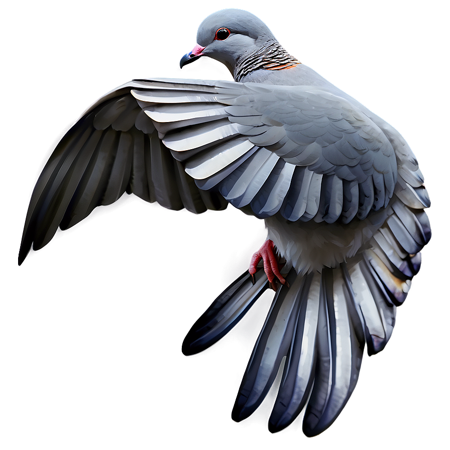 Watercolor Dove Png Gnw10 PNG Image