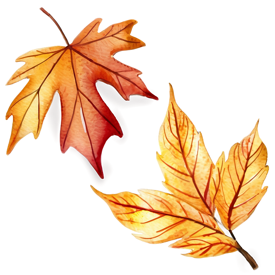 Watercolor Fall Leaves Png 87 PNG Image