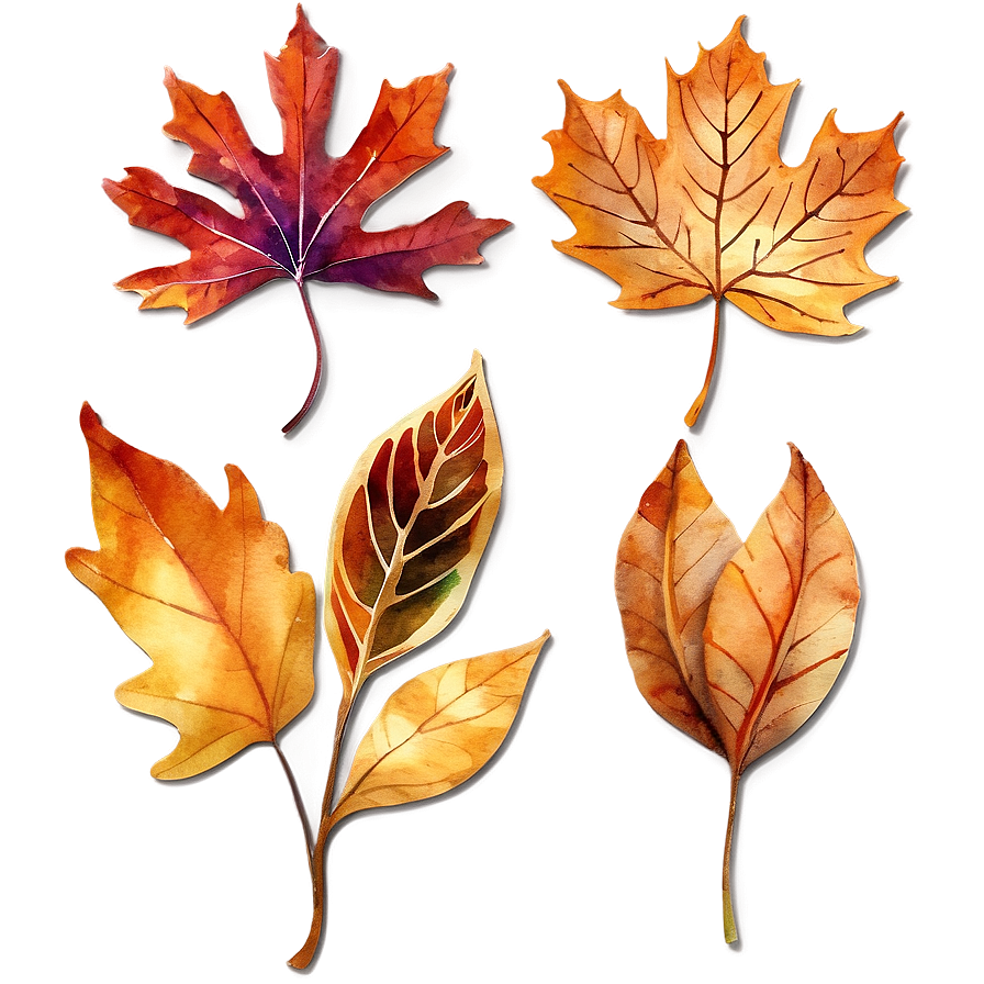 Watercolor Fall Leaves Png Opa77 PNG Image