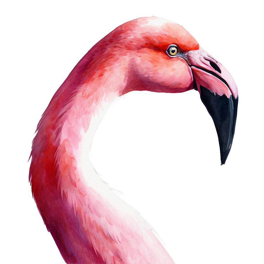 Watercolor Flamingo Artwork Png Scn11 PNG Image