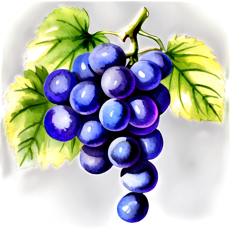 Watercolor Grape Png Sia26 PNG Image