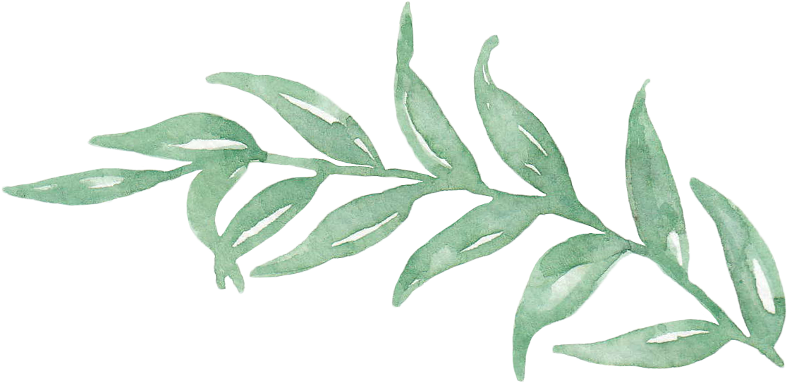 Watercolor Green Leaves Branch PNG Image