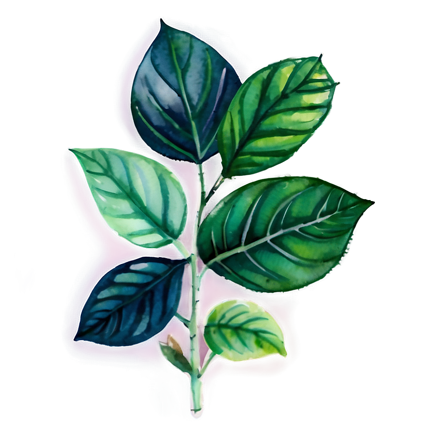 Watercolor Herbal Leaves Png 6 PNG Image