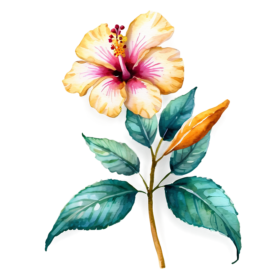 Watercolor Hibiscus Flowers Png Dep38 PNG Image