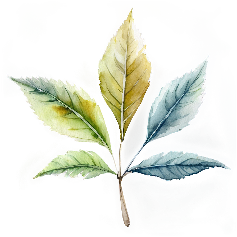 Watercolor Leaf Png 05032024 PNG Image