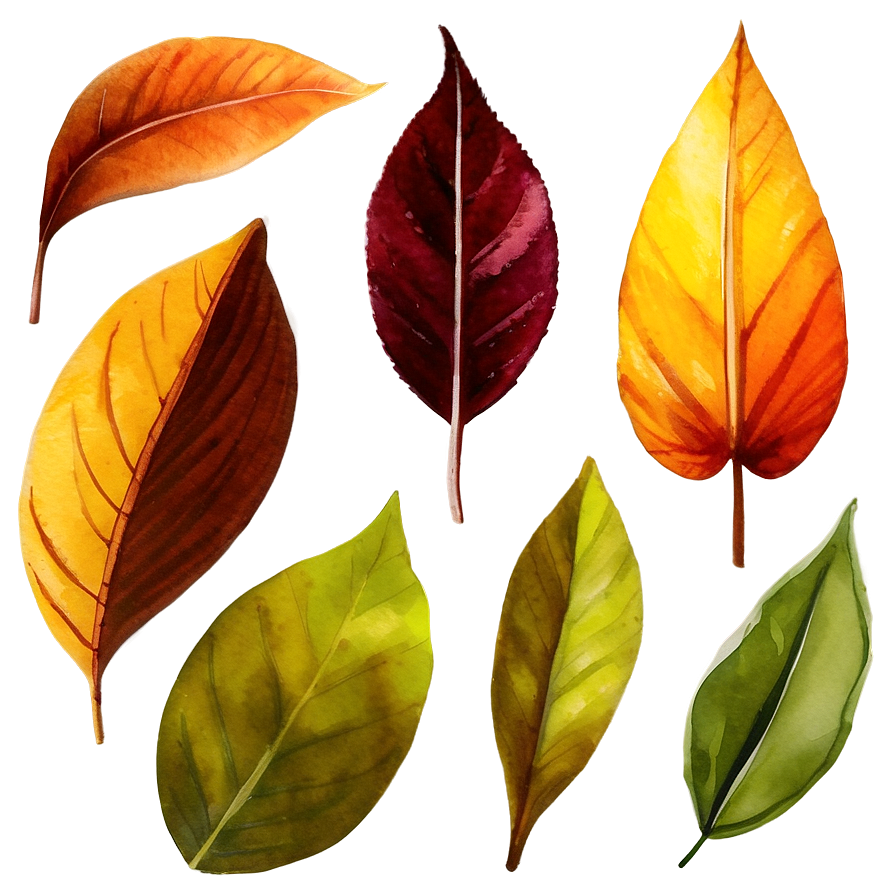 Watercolor Leaves Png Eik PNG Image