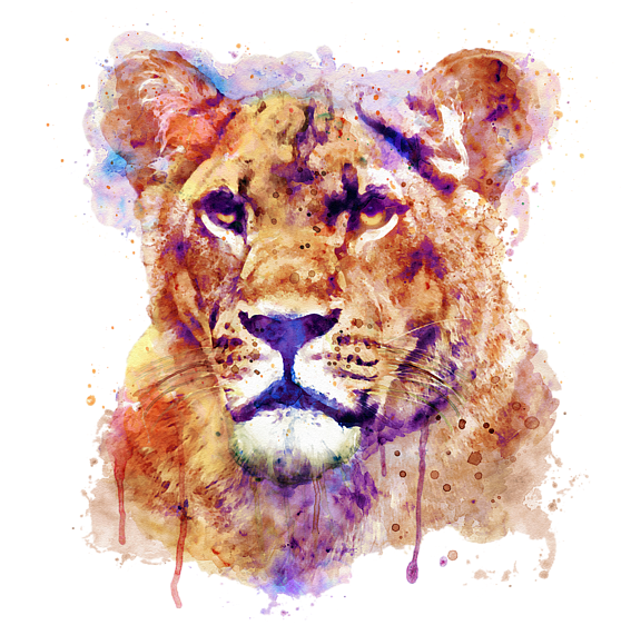 Watercolor Lioness Portrait PNG Image