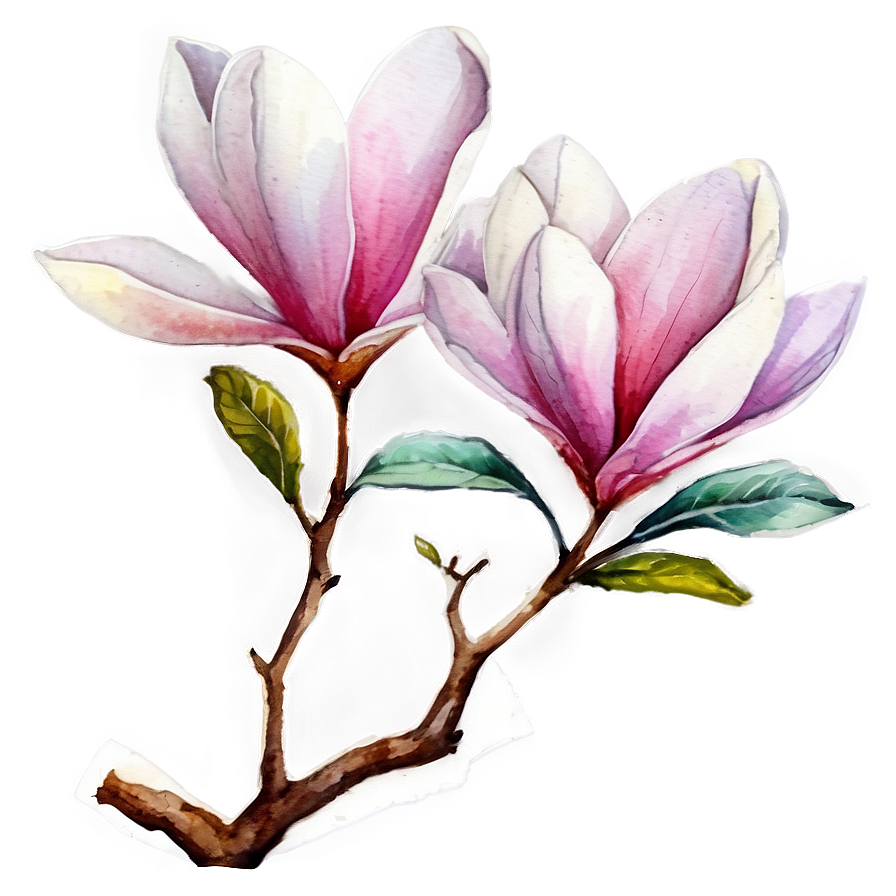 Watercolor Magnolia Tree Art Png 21 PNG Image