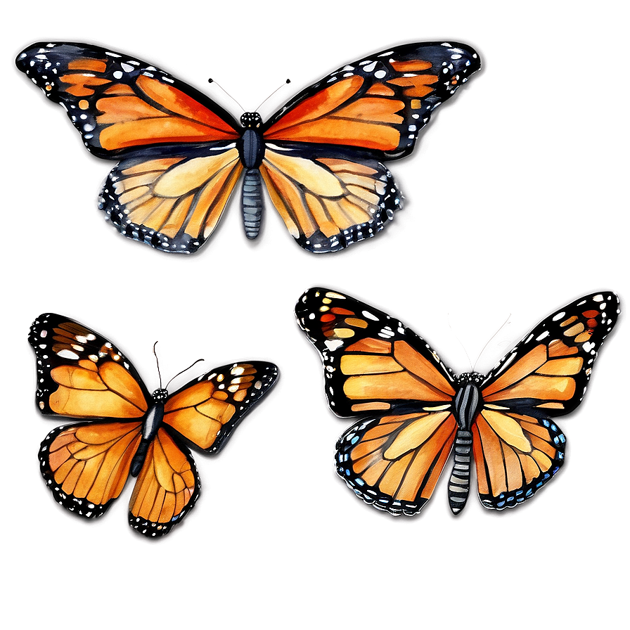 Watercolor Monarch Butterflies Png Iha PNG Image