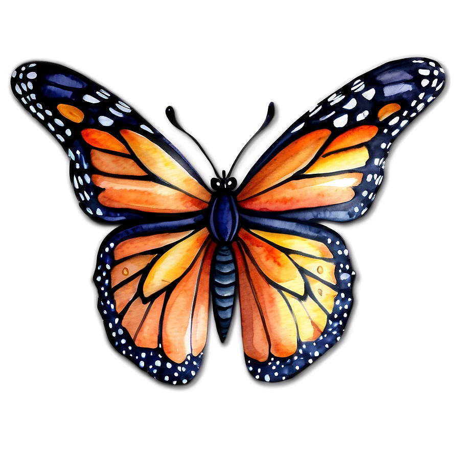 Watercolor Monarch Butterfly Png 80 PNG Image