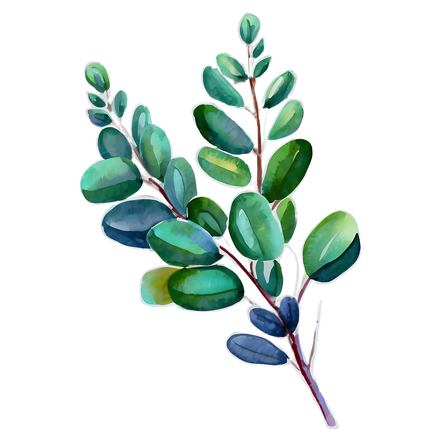 Watercolor Painted Eucalyptus Png 06272024 PNG Image