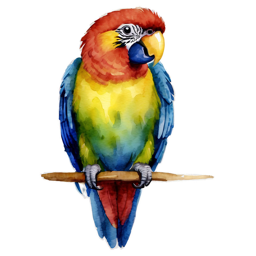 Watercolor Parrot Png Bmk PNG Image