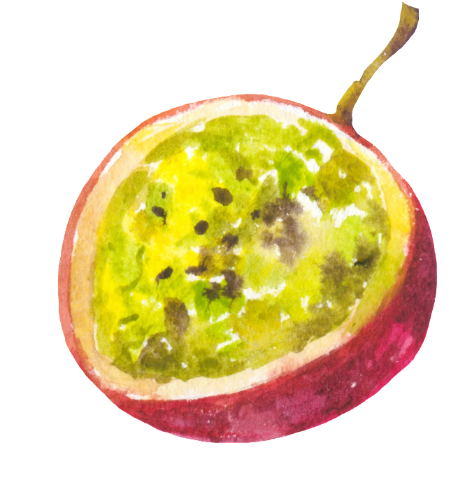 Watercolor Passion Fruit Slice PNG Image