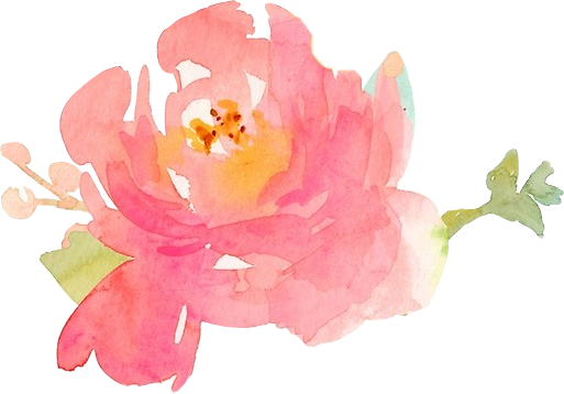 Watercolor Peony Floral Artwork PNG Image