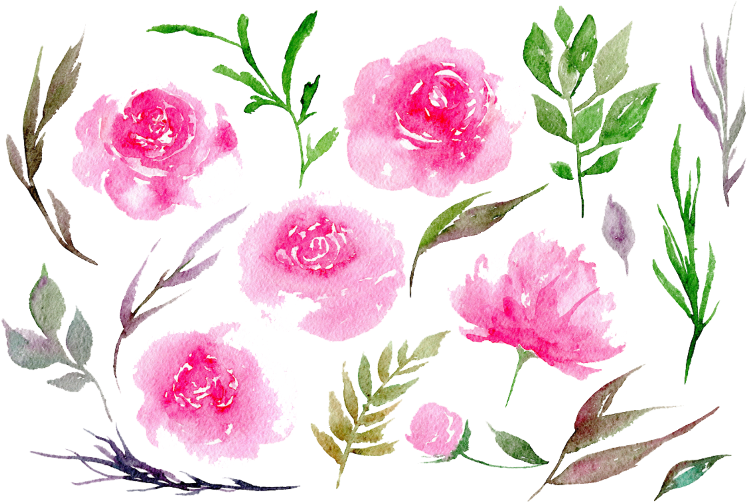 Watercolor Peony Floral Composition PNG Image