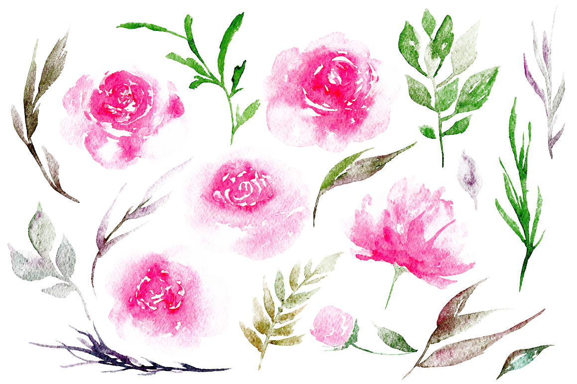 Watercolor Peony Floral Elements PNG Image