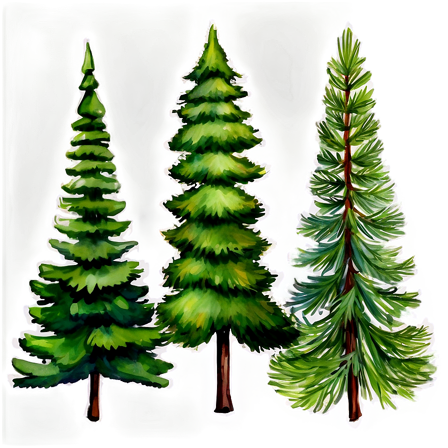 Watercolor Pine Trees Png Dot PNG Image