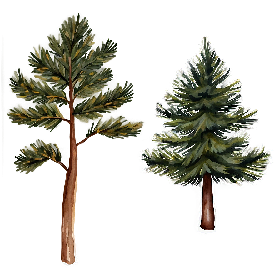 Watercolor Pine Trees Png Uxg79 PNG Image